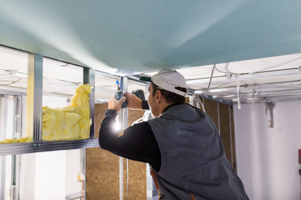 Best Types of Insulation in Pacifi, CA